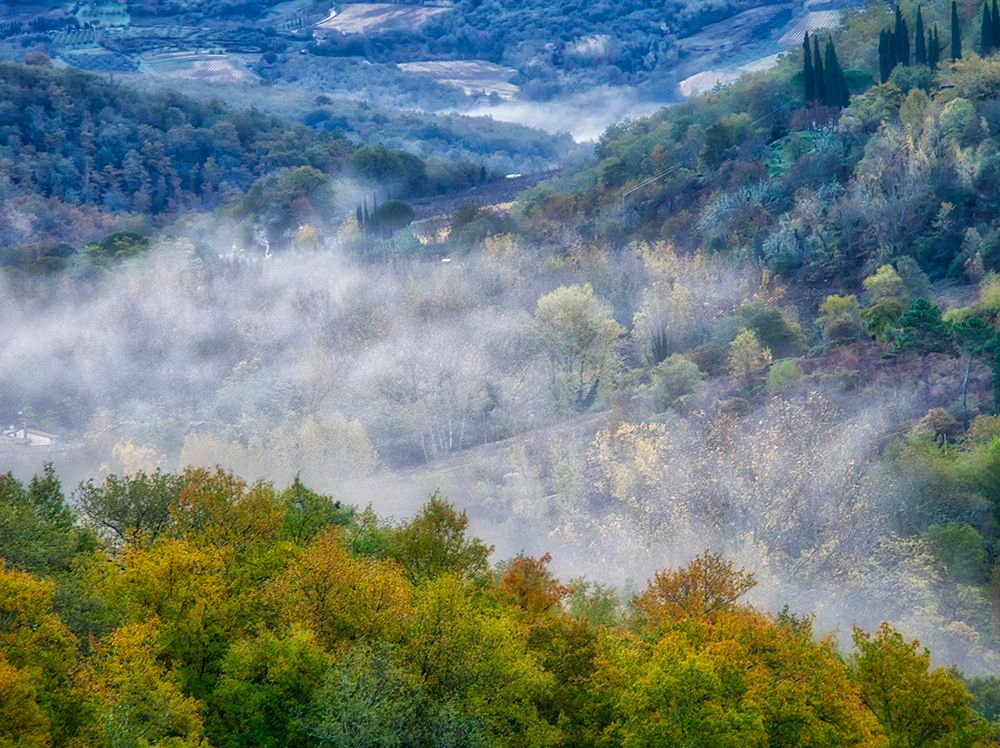 Italy-Tuscany Autumn morning with fog in the Tuscan valley art print by Julie Eggers for $57.95 CAD
